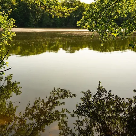 Zur Gruenen Kutte Bernshausen