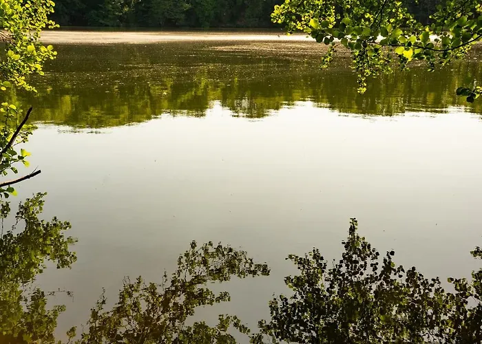 Zur Gruenen Kutte Bernshausen